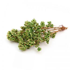 Origano a rametti 40 gr