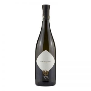 Pinot Grigio bio LAVIS
